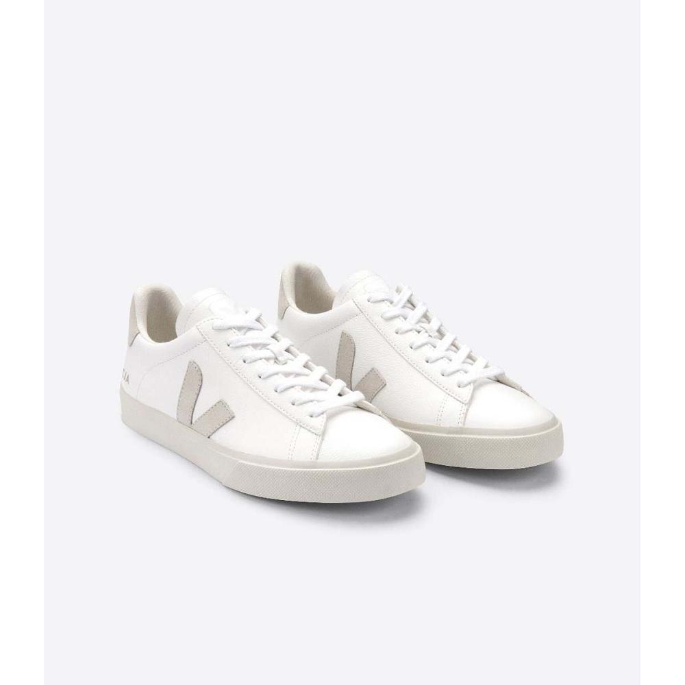 Men's Veja CAMPO CHROMEFREE Low Tops Sneakers White/Beige | ZA 296EBC